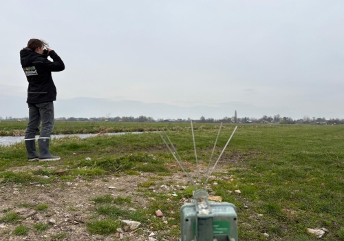 Start landelijk grutto onderzoek naar kuikenoverleving in polder Vlist