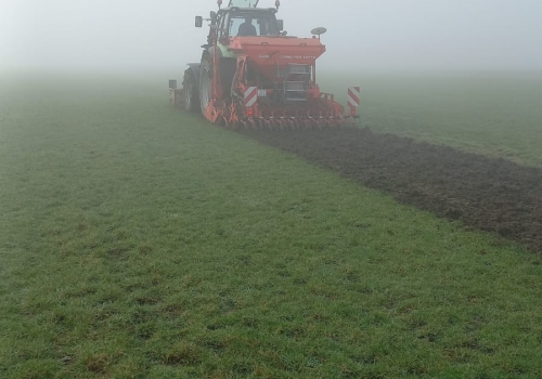Eerste kievitstroken liggen klaar in de Krimpenerwaard