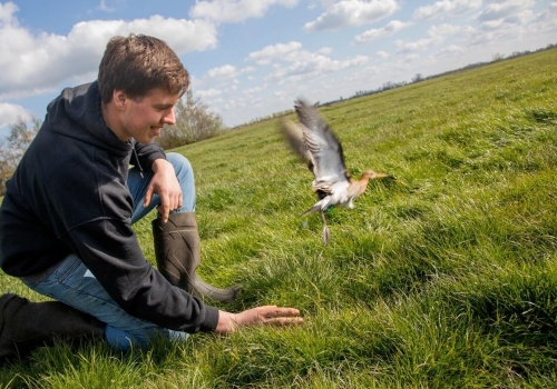 Familie de Jong uit Vlist weidevogelboer van het jaar 2021!