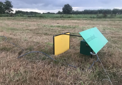 Proef met insectencamera's door EIS en Naturalis.