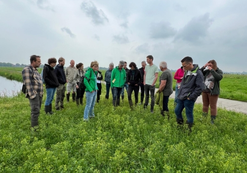 Veel interesse kennissessie kruidenrijk grasland Krimpenerwaard