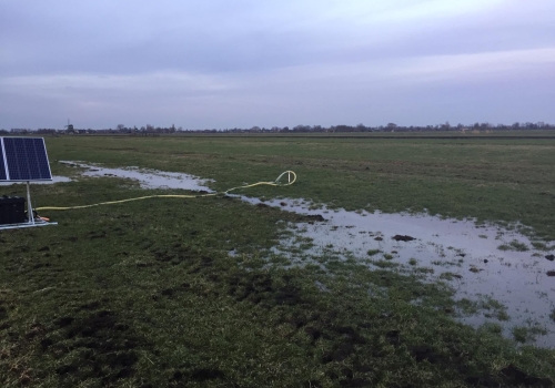 Weidehof Krimpenerwaard krijgt 75.000 euro extra voor Agrarisch Natuur en Landschapsbeheer (ANLb)