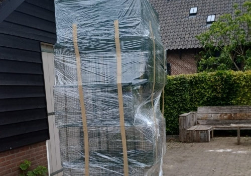Zuid-Holland verleent vergunning voor het vangen van zwarte kraaien om weidevogels te beschermen